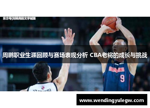 周鹏职业生涯回顾与赛场表现分析 CBA老将的成长与挑战