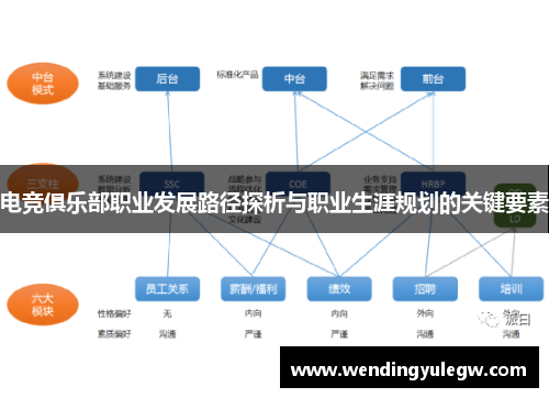 电竞俱乐部职业发展路径探析与职业生涯规划的关键要素