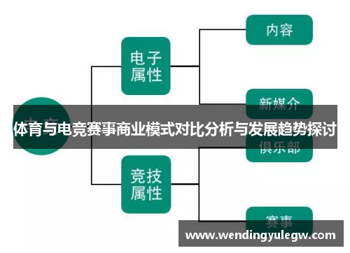 体育与电竞赛事商业模式对比分析与发展趋势探讨